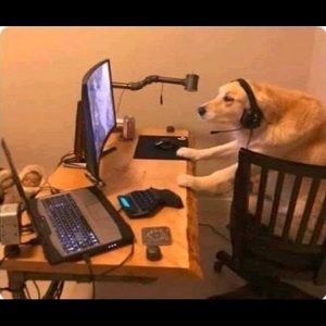 Meet your Posher, Ricky